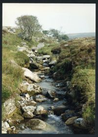 An image from the Dartmoor Trust Archive