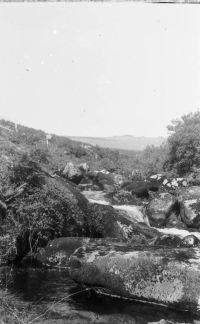 An image from the Dartmoor Trust Archive