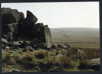 An image from the Dartmoor Trust Archive