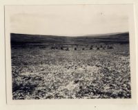 The Grey Wethers stone circles