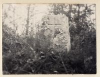 Stone with incised cross in Charles Wood