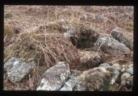 Beehive hut - Bala Brook