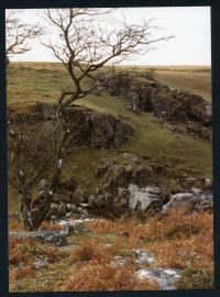 An image from the Dartmoor Trust Archive