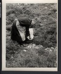 Br Adam tending bees on Dartmoor