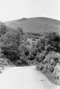 An image from the Dartmoor Trust Archive