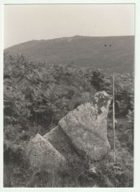 An image from the Dartmoor Trust Archive