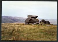 An image from the Dartmoor Trust Archive