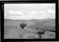 Glazebrook valley