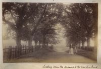 Towards the Weedon road