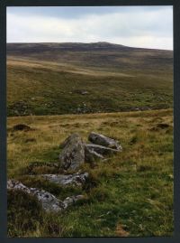 An image from the Dartmoor Trust Archive