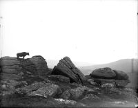 An image from the Dartmoor Trust Archive