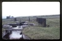 Cowsic Leat near Crow Tor