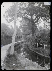 Country lane + ditch, Ottery St Mary