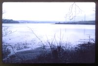 Confluence of Tavy and Tamar