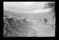 Owley Moor gate