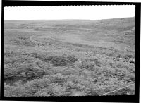 Remains of a Plymouth and Dartmoor Railway Embankment Under Leeden Tor