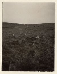 Stone row at Merrivale