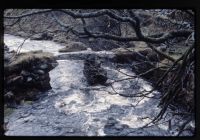 Blackbrook Clapper Bridge