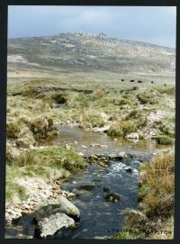 An image from the Dartmoor Trust Archive