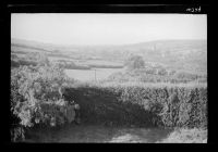 Widecombe-in-the-Moor 