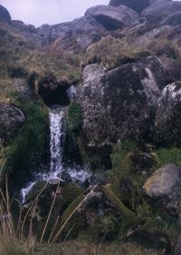 An image from the Dartmoor Trust Archive