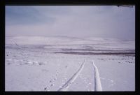 Gidleigh Common in Snow