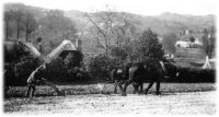 Ploughing the fields above Knowle Road