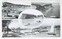 Shaldon