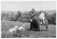 An image from the Dartmoor Trust Archive