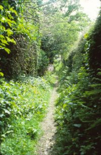 An image from the Dartmoor Trust Archive