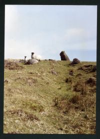 An image from the Dartmoor Trust Archive