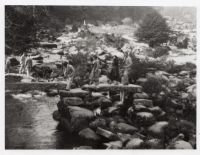 An image from the Dartmoor Trust Archive