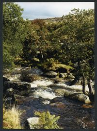 An image from the Dartmoor Trust Archive