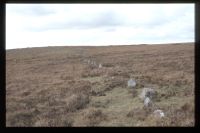 Stone Row on Down Tor