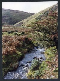 An image from the Dartmoor Trust Archive