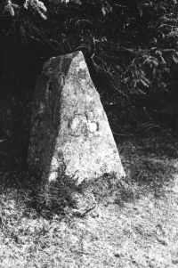 Cator Boundary stone, Manaton.