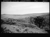 Hart Tor Brook