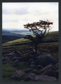 An image from the Dartmoor Trust Archive