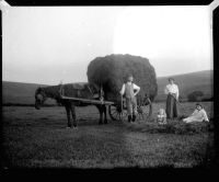 Haymaking near Dartmeet Hill