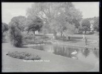 The Lawn, Dawlish