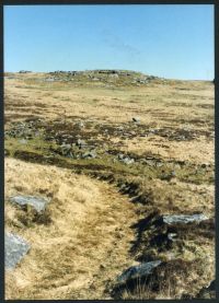 An image from the Dartmoor Trust Archive