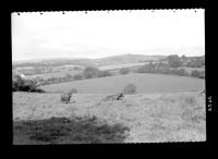 View from Oakley to Hemerdon Ball