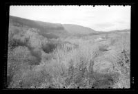 The River Tavy Valley Above Hatch Mill