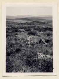 kist on Western side of Shavercombe Brook