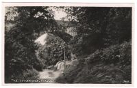 Ivybridge viaduct