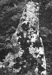 Boundary stone