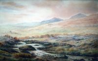 65. Moorland stream.tif