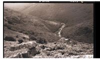 The River Dart from Meltor