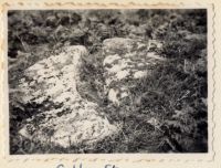 Coffin Stone, Dartmeet Hill