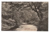 Ivybridge View on the River Prysor